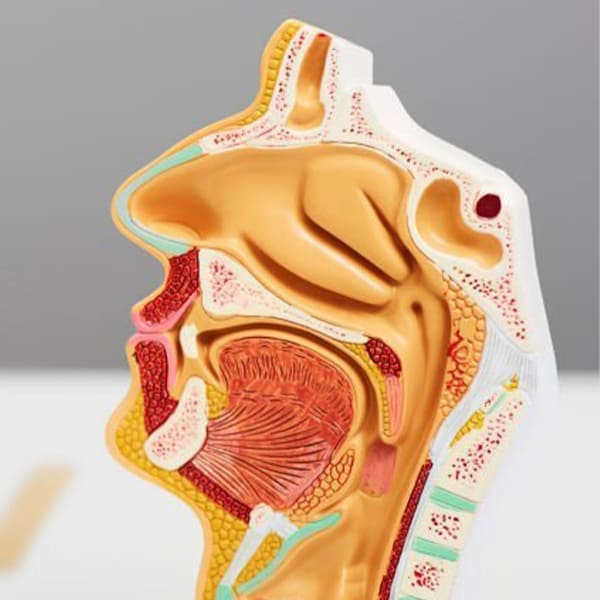 turbinoplastia